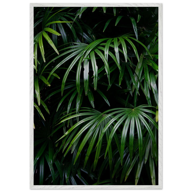 50cf06af-d306-41f0-bef0-7ff5a66e5a50